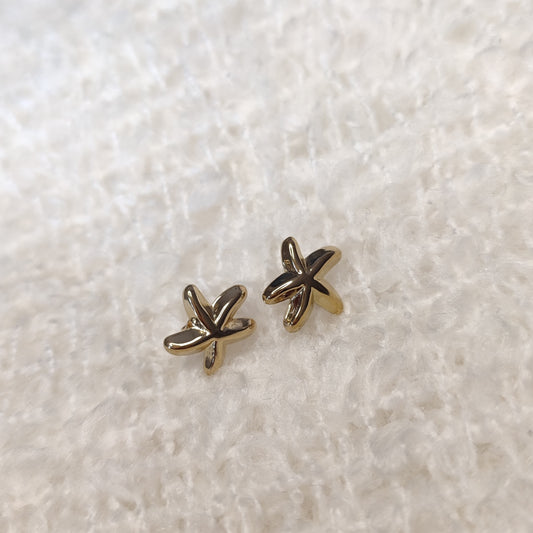Pendientes Starfish
